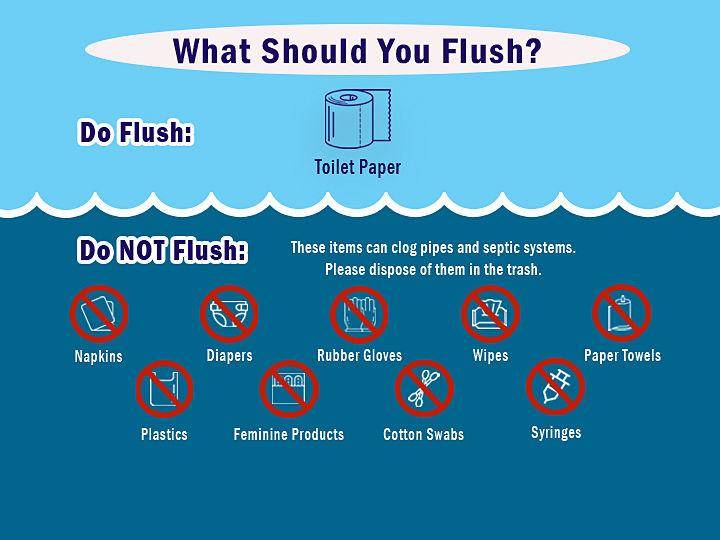 whattoflush - Copy